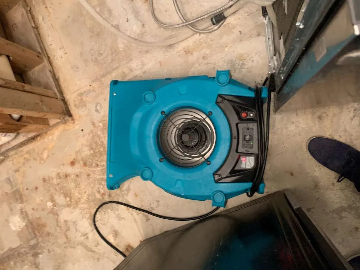 Air mover drying equipment for Mold Remediation & Removal in Centerville